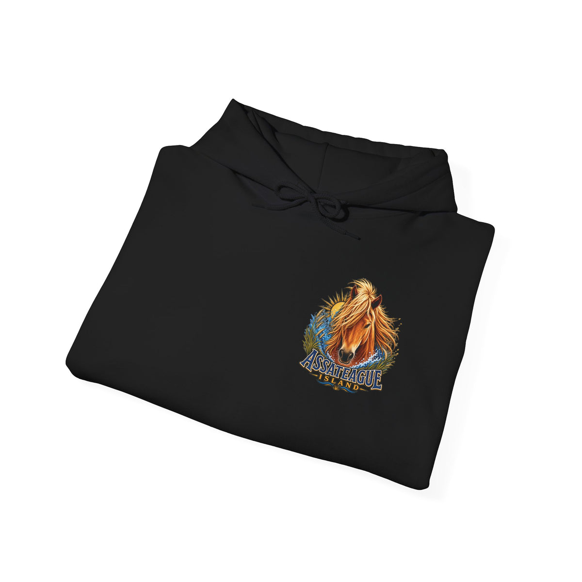 Black Jeff H Travels hoodie featuring a wild pony graphic and Assateague Island text.