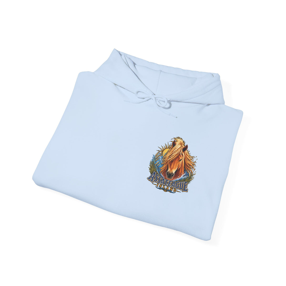 Light blue Jeff H Travels hoodie featuring a graphic of an Assateague Island wild pony.